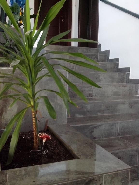 Apartments "Belle Vue" Herceg Novi Bilik gambar